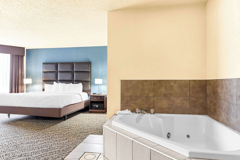 Suite, 1 King Bed, Non Smoking, Jetted Tub (with Sofabed) - Photo 1