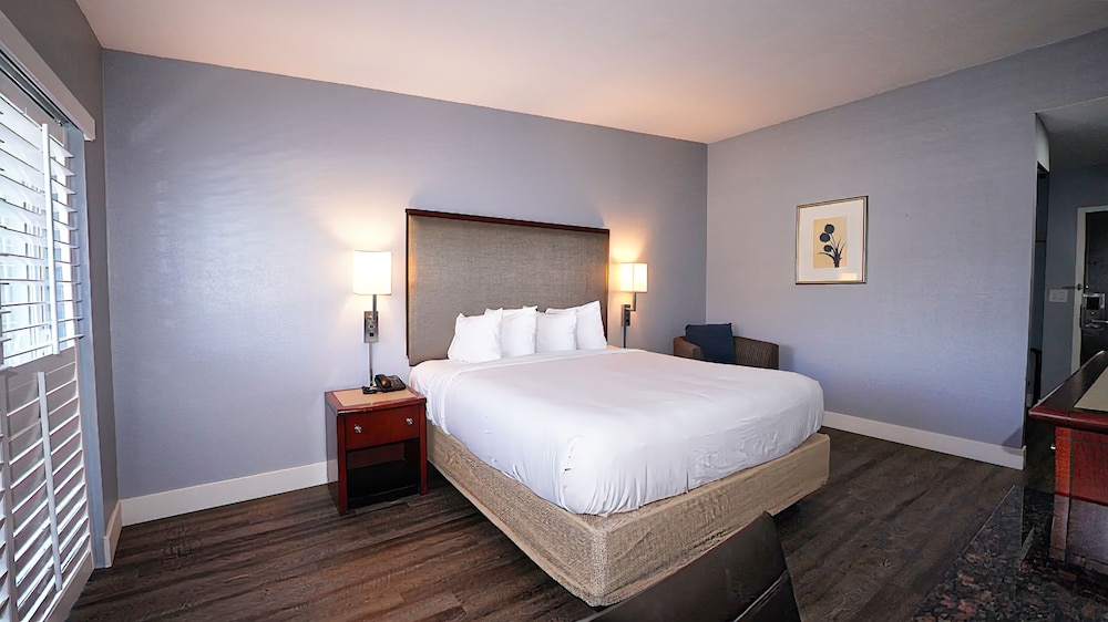 Newly Remodeled Room, King Bed, Balcony, Non-Smoking - Photo 15