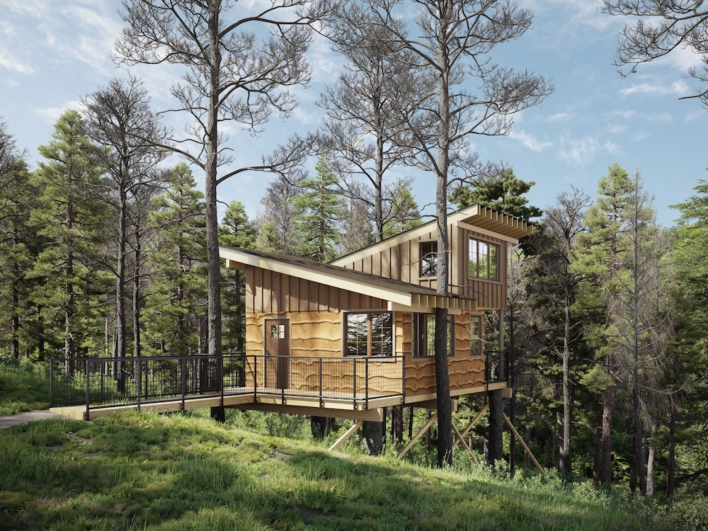 Tree House, Mountain View photo 1