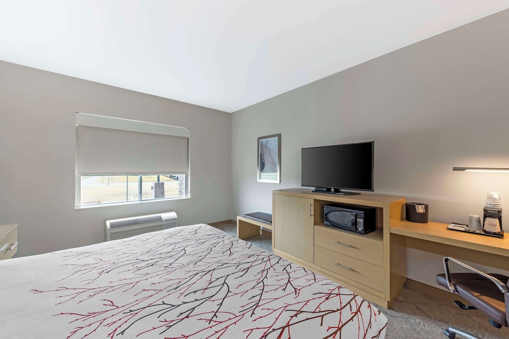 Standard Room, 1 King Bed, Non Smoking, Refrigerator & Microwave photo 3