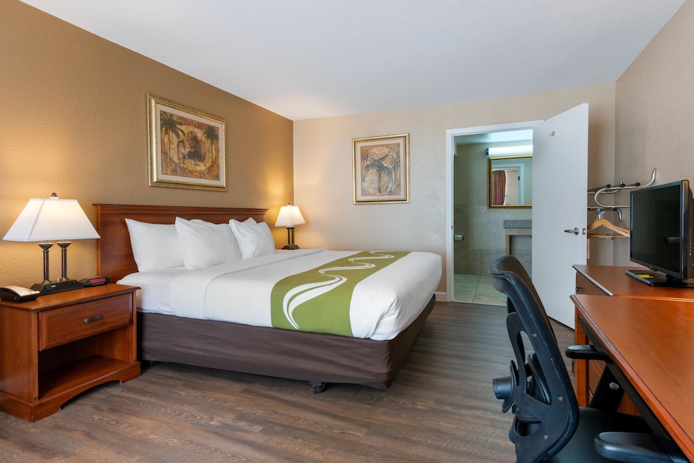 Poolside Room, 1 King Bed photo 2
