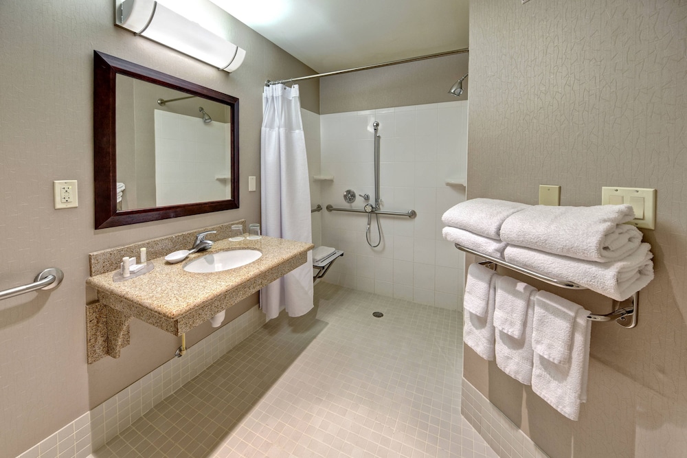 Studio, Multiple Beds - Photo 8