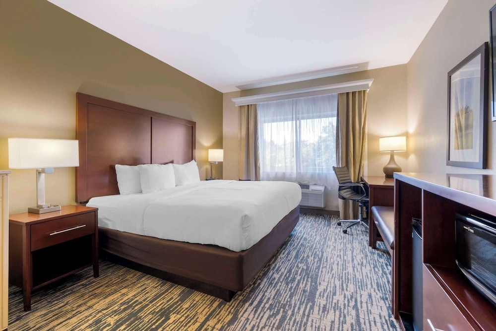 Suite, 1 King Bed, Non Smoking - Photo 4