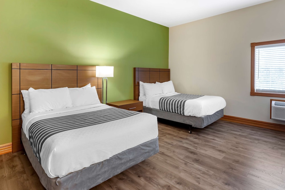 Standard Room, 2 Double Beds, Accessible, Kitchen photo 2