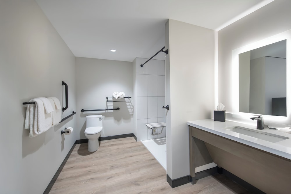 Room, 1 King Bed, Roll-in Shower, Non Smoking photo 2