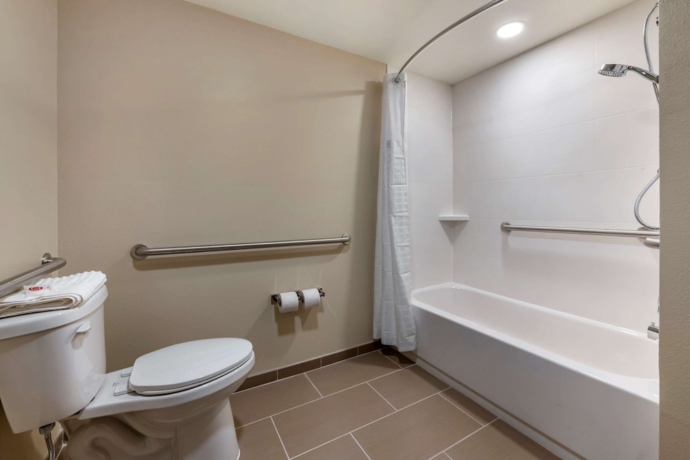 Studio Suite, 1 King Bed with Sofa bed, Accessible, Non Smoking - Photo 4