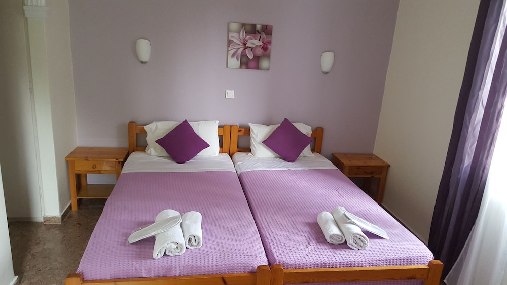 Twin Room photo 3