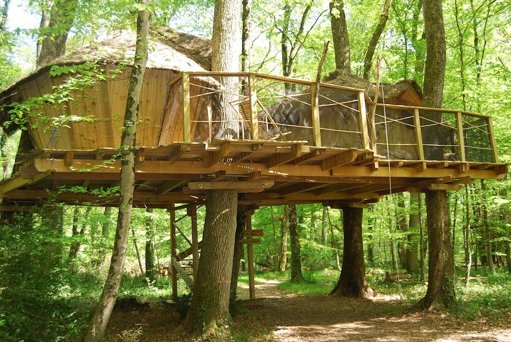 Tree House photo 2