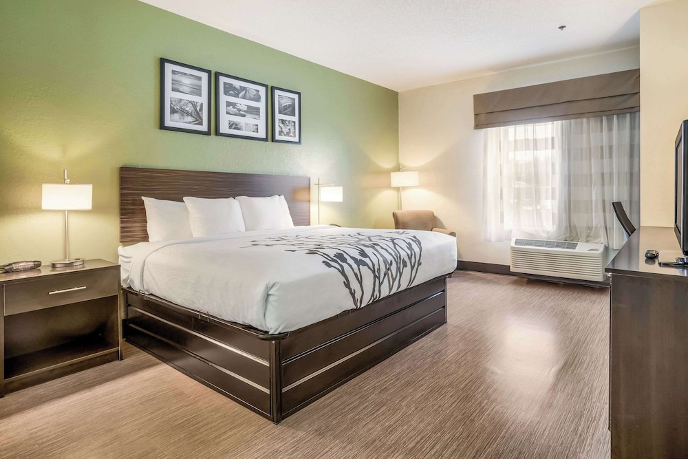 Standard Room, 1 King Bed, Non Smoking - Photo 1