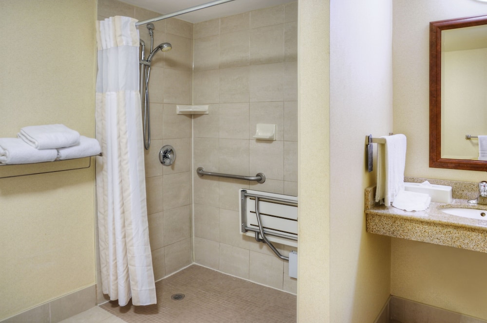 Room, 1 King Bed, Accessible - Photo 4