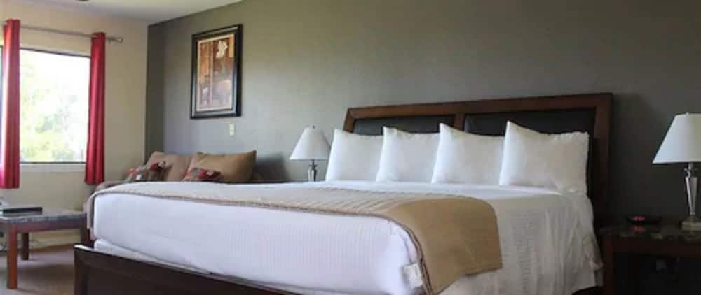 Room, 1 King Bed