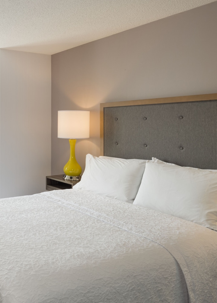 Room, 1 King Bed, Accessible, Bathtub