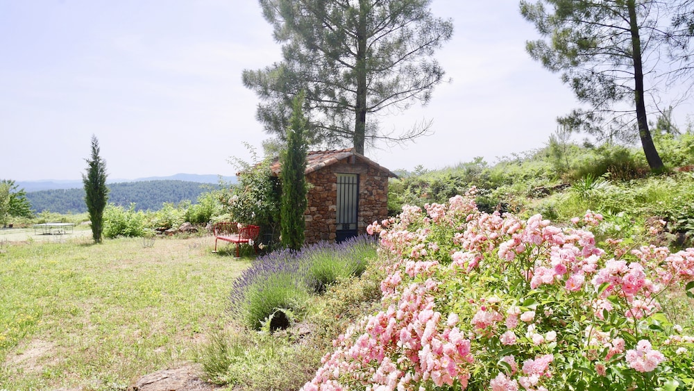 Cabin photo 2