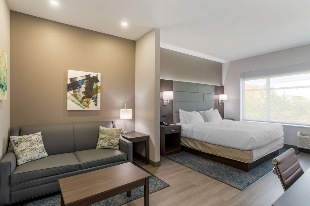 Standard Room, 1 King Bed, Non Smoking, Refrigerator & Microwave (with Sofabed) - Photo 1