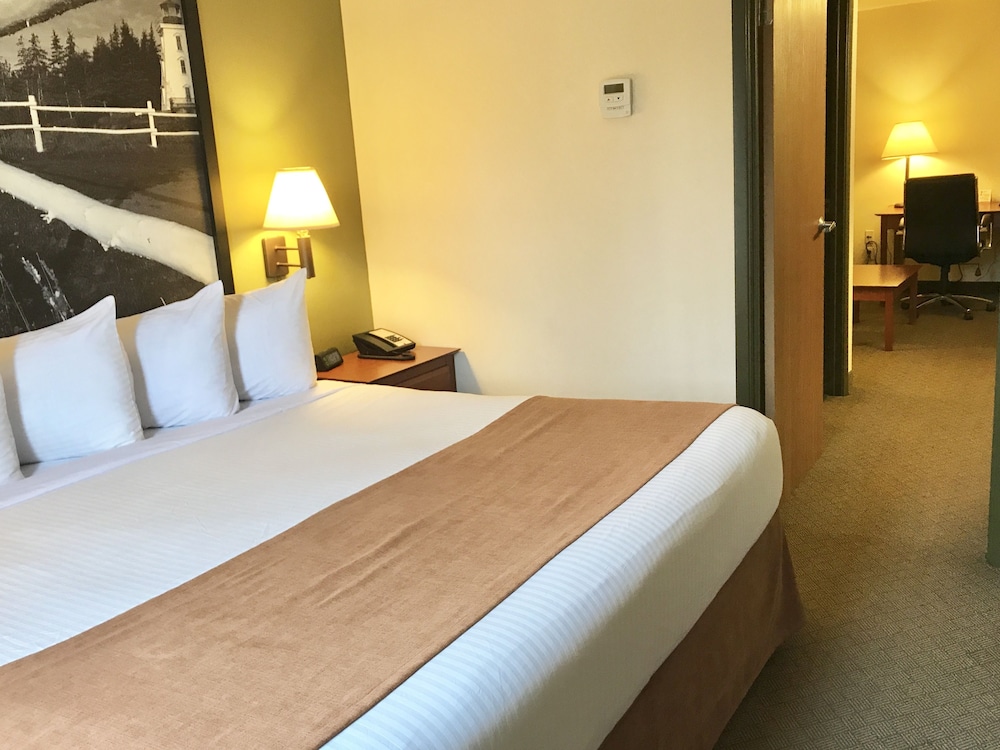 Junior Suite, 1 Bedroom, Non Smoking (1 King Bed) - Photo 2