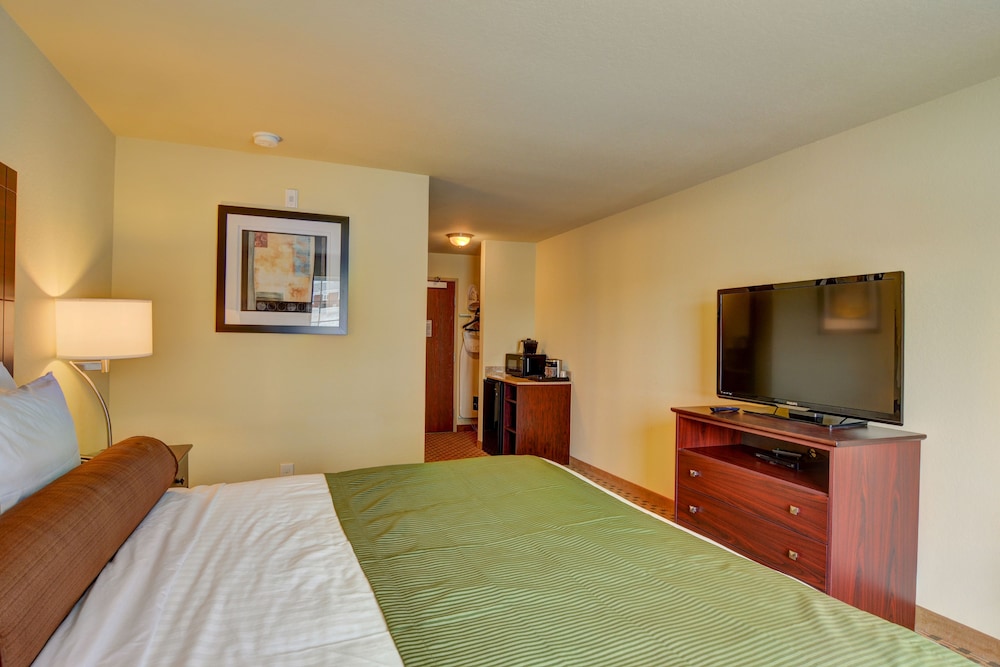 Accessible King Guestroom with Wheel-in Shower photo 2