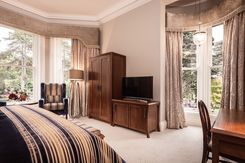 Junior Double Room, 1 King Bed photo 3