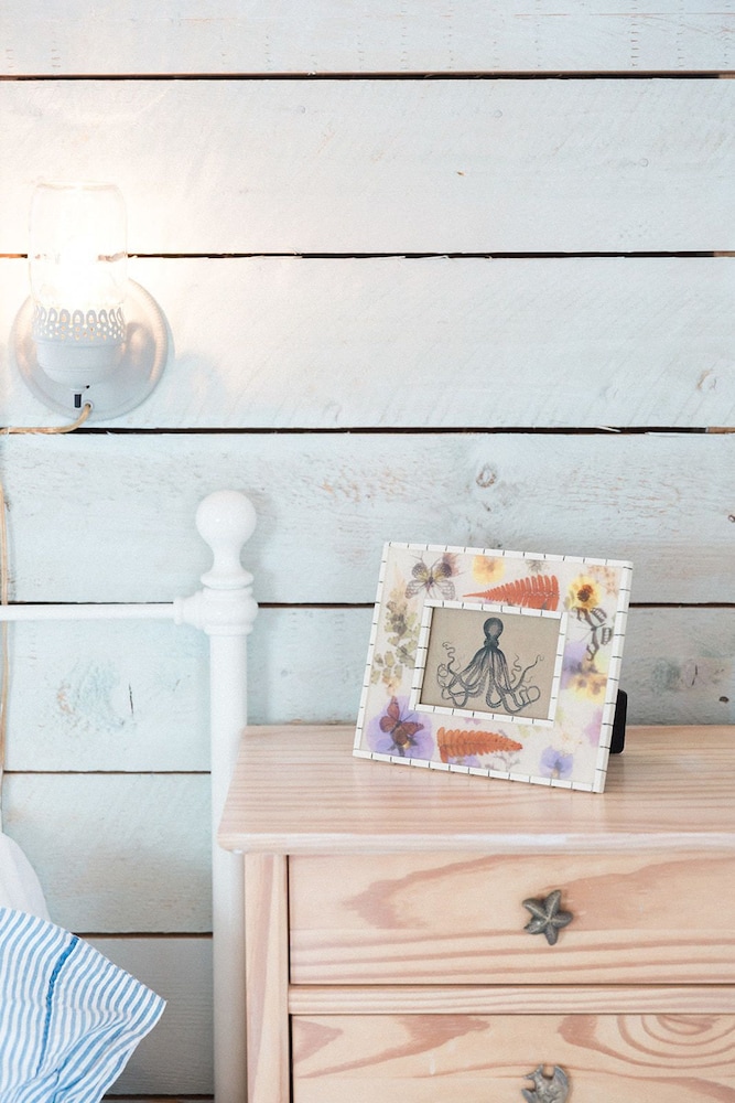 Starfish Cottage photo 1