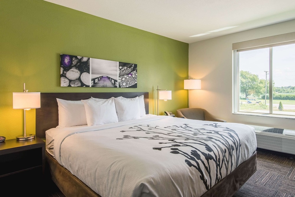 Standard Room, 1 King Bed, Non Smoking
