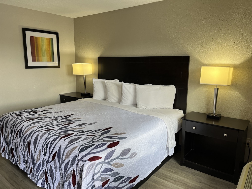 Deluxe Room, 1 King Bed, Non Smoking - Photo 1