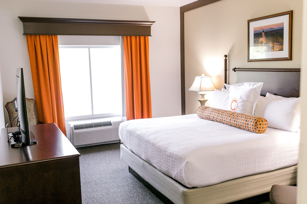 Executive Room, 1 King Bed