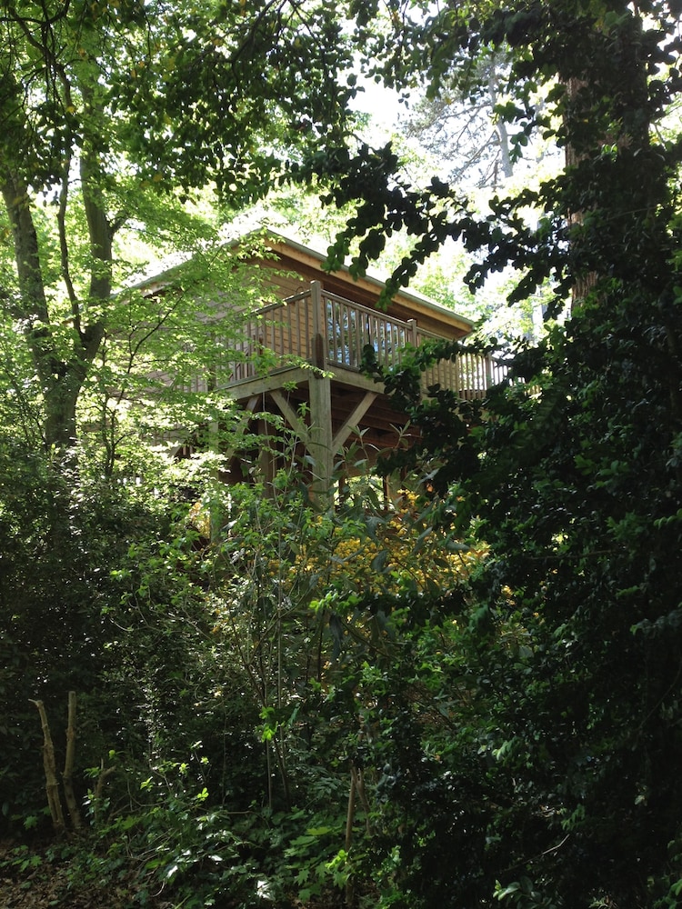Romantic Cabin, Hot Tub photo 3