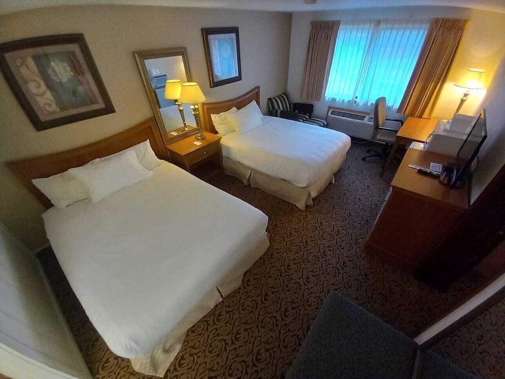Standard Double Room photo 2