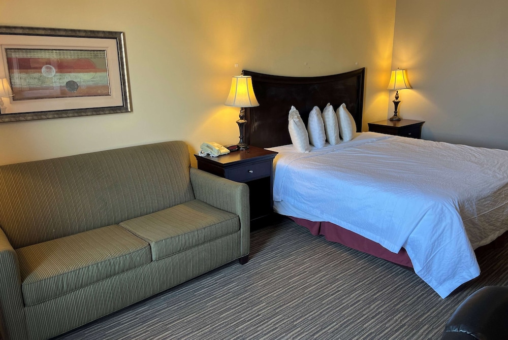 Room, 1 King Bed, Non Smoking (Interior)