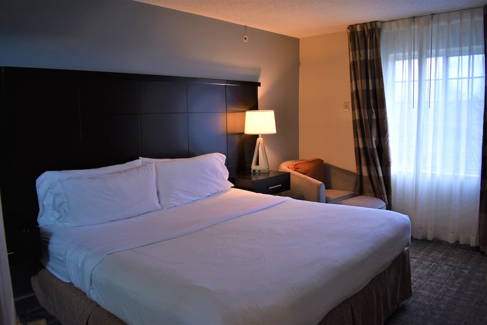 Suite, 1 Bedroom, Accessible, Kitchen (Accessible Tub) - Photo 3