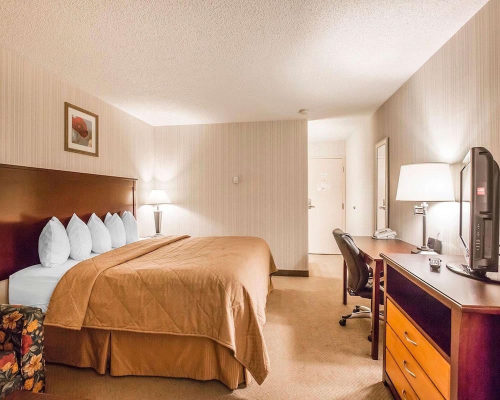 Room, 1 King Bed, Non Smoking photo 1