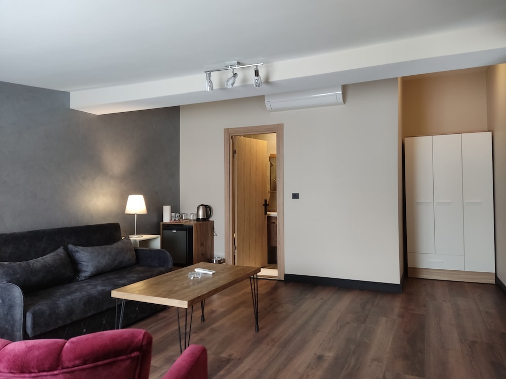 Standard Penthouse photo 2