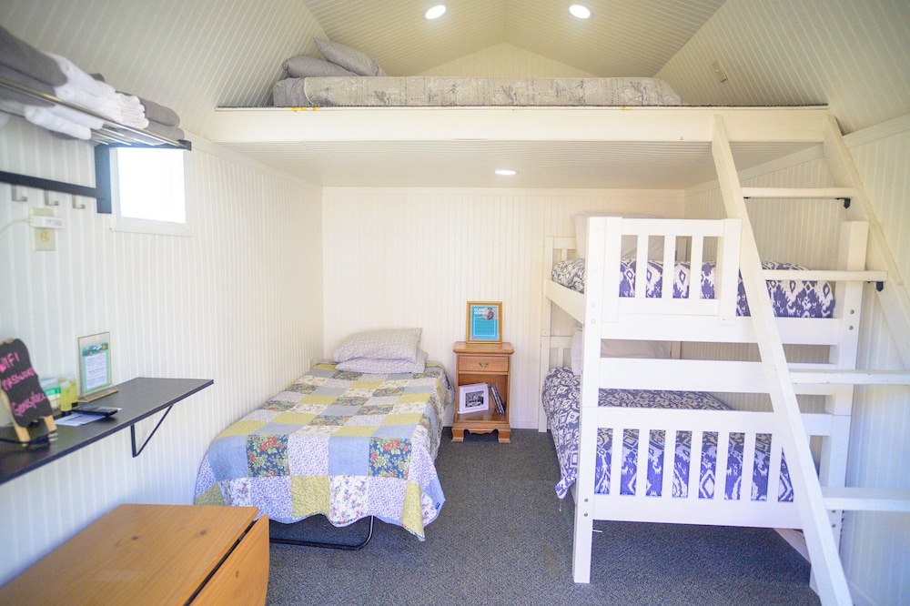 Economy Cabin