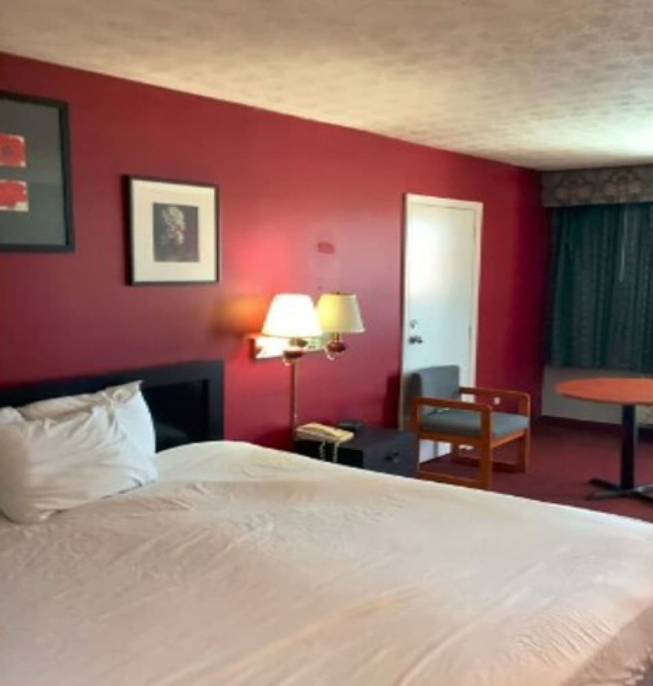 Suite, 1 King Bed photo 3