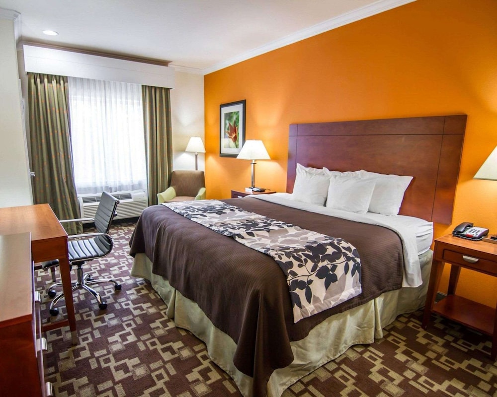 Standard Room, 1 King Bed, Non Smoking - Photo 4
