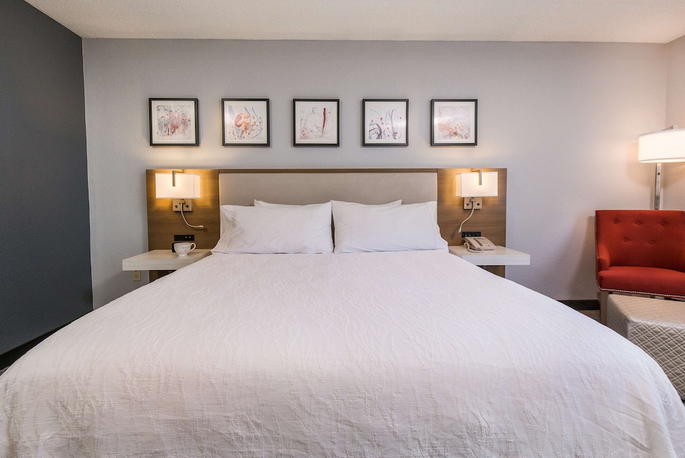 Suite, 1 King Bed, Accessible photo 2