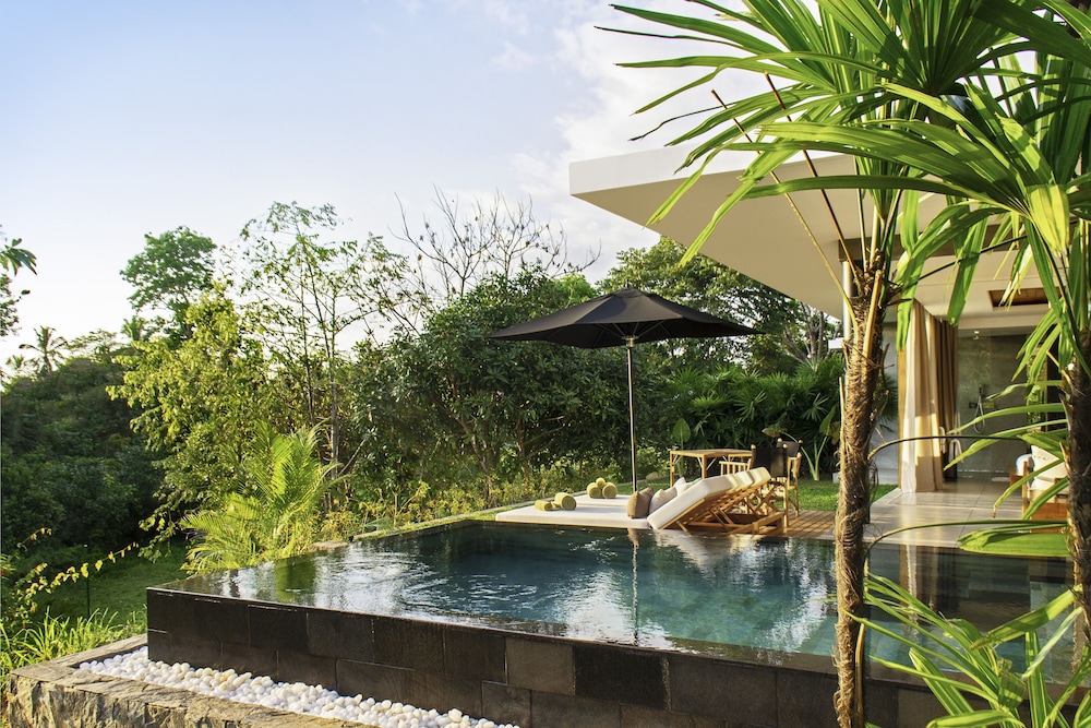 Deluxe Villa with Private Pool photo 3