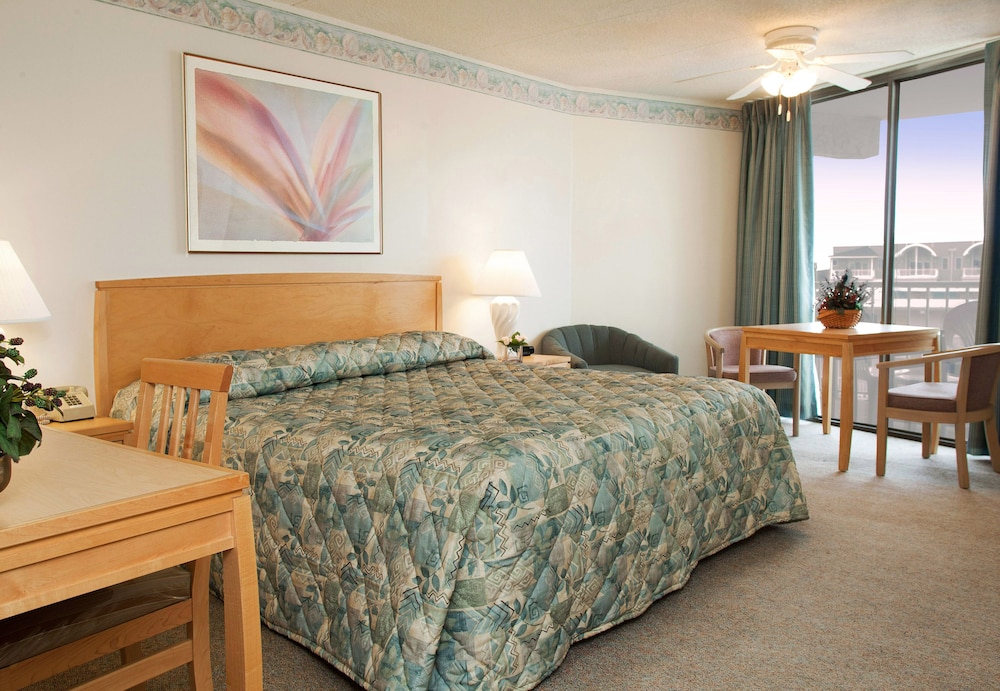 Standard Room, 1 King Bed (A1) - Photo 1