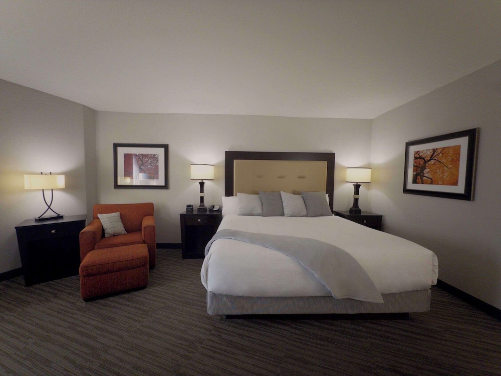Room, 1 King Bed, Accessible, Non Smoking photo 1
