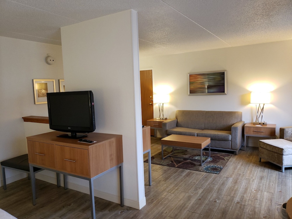 Suite, 1 King Bed - Photo 4