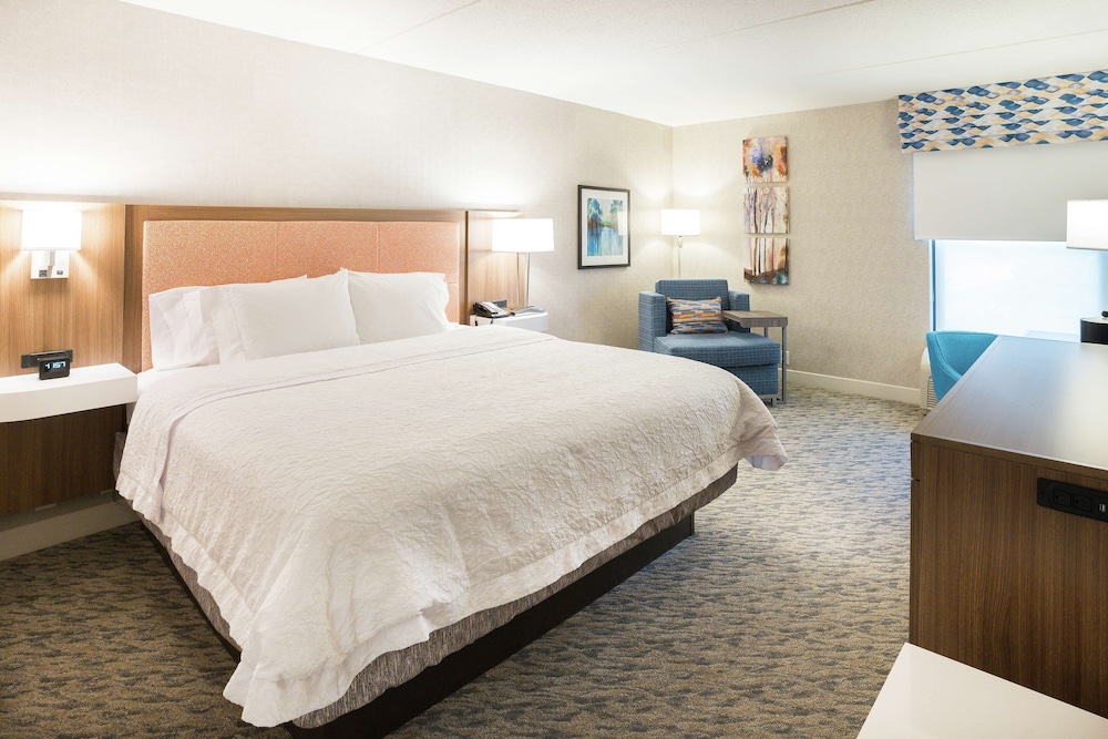 Room, 1 King Bed, Accessible (Hearing) - Photo 3