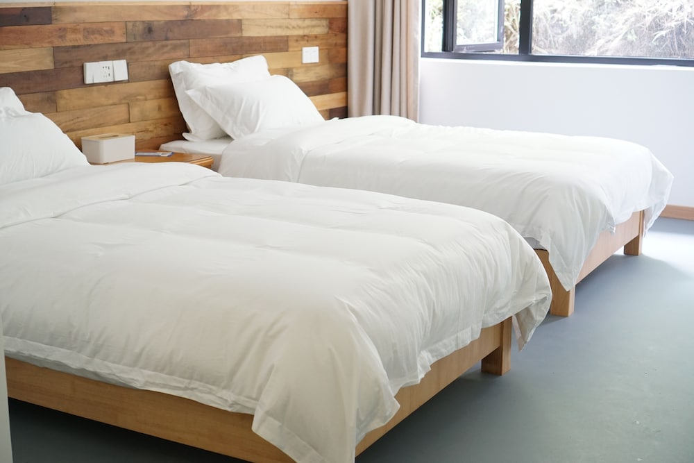 Comfort Twin Room photo 1