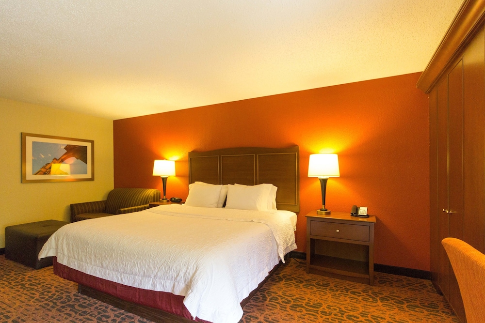 Room, 1 King Bed, Accessible, Non Smoking (Roll-in Shower) - Photo 1