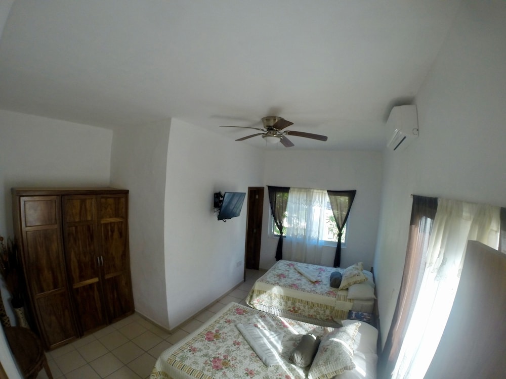 Premium Loft, Kitchenette photo 2