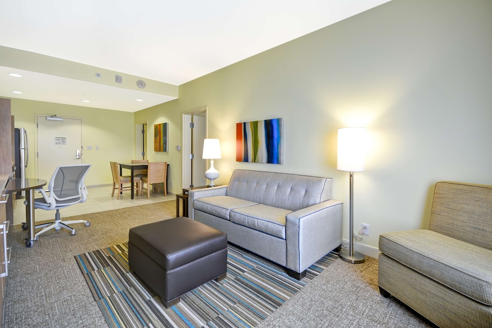 Suite, 1 Bedroom, Non Smoking photo 2