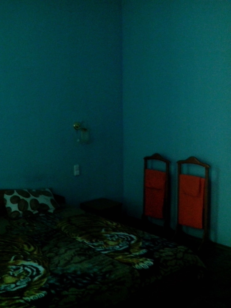 Basic Double or Twin Room, 1 Large Twin Bed