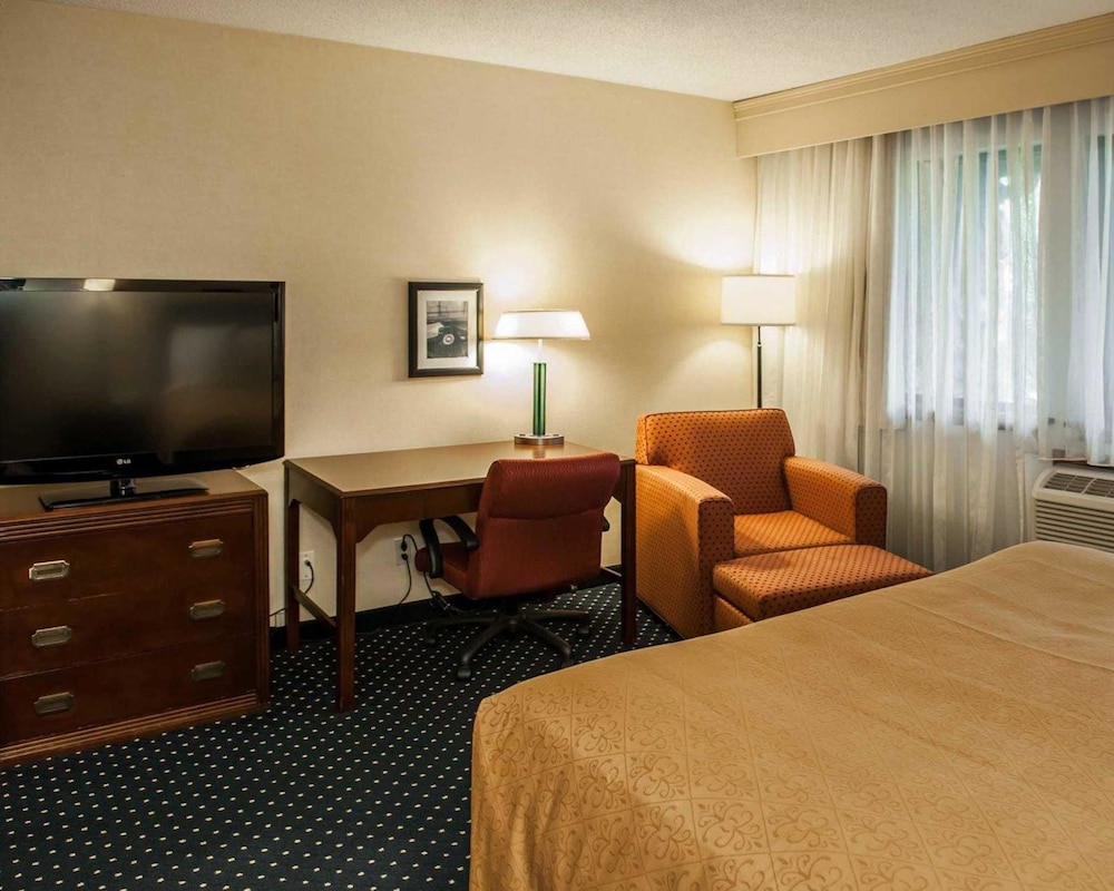 Standard Room, 1 King Bed with Sofa bed, Non Smoking - Photo 17