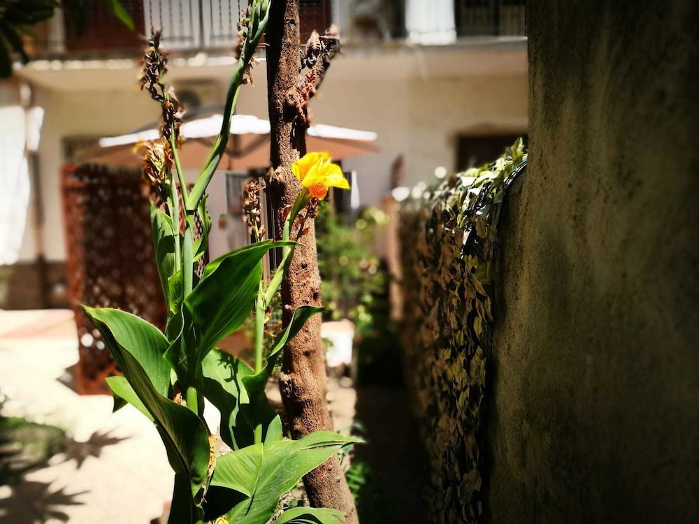 Camera Deluxe con giardino Vucciria photo 3
