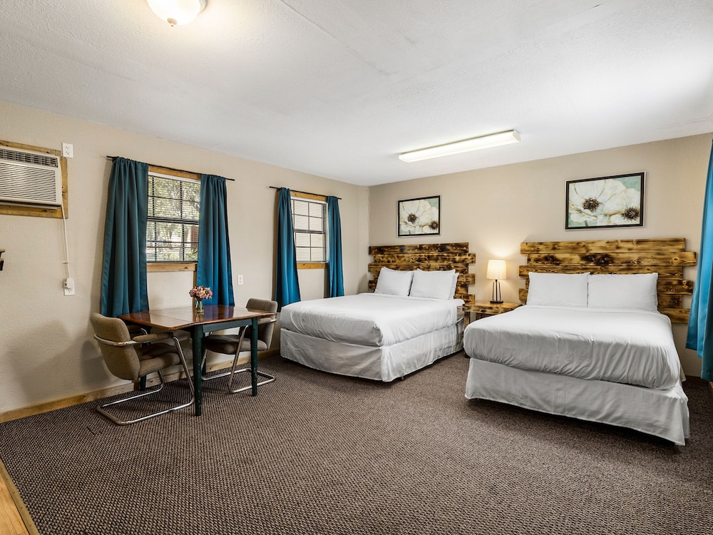Comfort Studio Suite, 1 Bedroom, Roll-in Shower photo 2