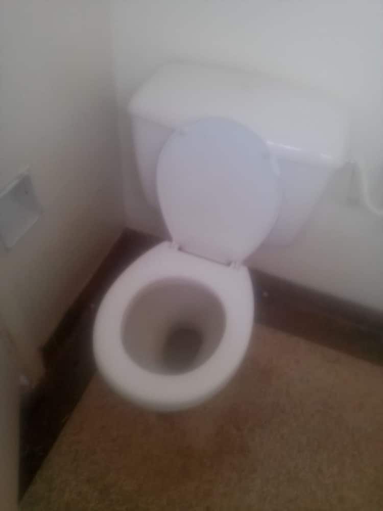 Twin Room photo 3