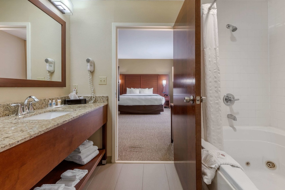 Suite, 1 King Bed, Non Smoking - Photo 11